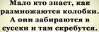 Прикрепленное изображение: Мало кто знает, как размножаются колобки.jpg