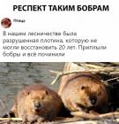 Прикрепленное изображение: 1648022896.jpg