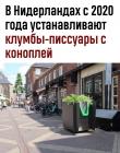 Прикрепленное изображение: Писсуары с коноплей 1.jpg