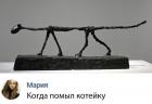 Прикрепленное изображение: Котейку помыли.jpg
