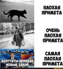 Прикрепленное изображение: 1678477656.jpg