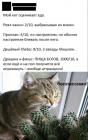 Прикрепленное изображение: Кот оценивает еду.jpg