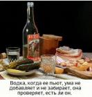 Прикрепленное изображение: Водка проверяет ум.jpg