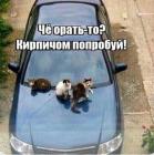 Прикрепленное изображение: Кирпичом попробуй.jpg