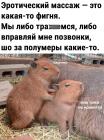 Прикрепленное изображение: Эротический массаж.jpg
