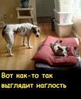 Прикрепленное изображение: 1740913502.jpg