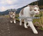 Прикрепленное изображение: 1741984087.jpg