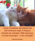 Прикрепленное изображение: v-kanun-prazdnika_73643.jpg