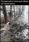 Прикрепленное изображение: Образ на весну.jpg