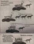 Прикрепленное изображение: Застрял в грязи.jpg