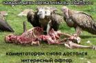 Прикрепленное изображение: 90154.jpg