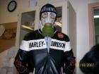 Прикрепленное изображение: x_d4d626c5_Harley.jpg