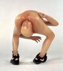 Прикрепленное изображение: Chapman_Disasters_of_Yoga.jpg