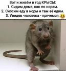 Прикрепленное изображение: Коронавирус - Так и живём в год крысы.jpg