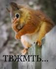Прикрепленное изображение: 277558011_5132073063522251_4276588698663916976_n.jpg