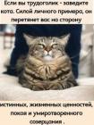Прикрепленное изображение: 1649488133.jpg