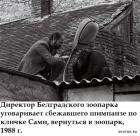 Прикрепленное изображение: 1648887872.jpg