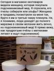 Прикрепленное изображение: podsnezhnikovyj-myod_72885.jpg