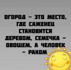 Прикрепленное изображение: Огород.jpg