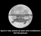 Прикрепленное изображение: 1679905326.jpg