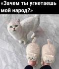 Прикрепленное изображение: Угнетаешь мой народ.jpg