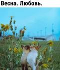 Прикрепленное изображение: Весна Любовь.jpg