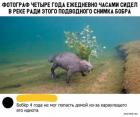 Прикрепленное изображение: 1712393521.jpg