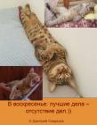 Прикрепленное изображение: 1712404003.jpg