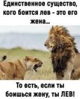 Прикрепленное изображение: 488599829_2462945974097521_4180194461764449921_n.jpg