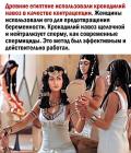 Прикрепленное изображение: Крокодилий навоз.jpg