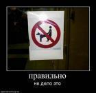 Прикрепленное изображение: ________a7398e67.jpg