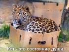 Прикрепленное изображение: 1619866045.jpg