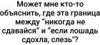 Прикрепленное изображение: Никогда не сдавайся vs Лошадь сдохла - слезь.jpg