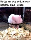 Прикрепленное изображение: Работник уже все.jpg