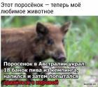 Прикрепленное изображение: 1683971408.jpg