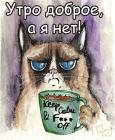 Прикрепленное изображение: Котик недобрый.jpg