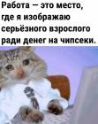 Прикрепленное изображение: Изображаю серьезного взрослого.jpg