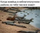 Прикрепленное изображение: 1715934324.jpg