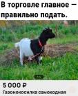 Прикрепленное изображение: Газонокосилка.jpg