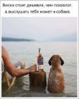 Прикрепленное изображение: 1746869719.jpg