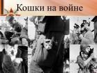 Прикрепленное изображение: zzE95xOD_Lvb0Yiu8JqdnvBMHaWOGaOoWnEt9nAdTPjdT3gClumnYd-IHpcJp8LL7gIEl47brT6tmT6A8kB9I6af.jpg
