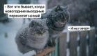 Прикрепленное изображение: Новогодние выходные на май.jpg