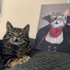 Прикрепленное изображение: Котик с клыками.jpg