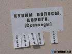 Прикрепленное изображение: 1222879224_prikoly_v_kartinkakh__www_votrube_ru_8.jpg