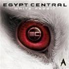 Прикрепленное изображение: EgyptCentral2011.jpg