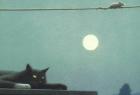 Прикрепленное изображение: Quint Buchholz 5JmfIttYT9Y.jpg