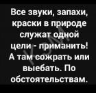 Прикрепленное изображение: image.jpeg