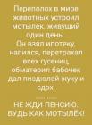 Прикрепленное изображение: Не жди пенсию, будь как мотылёк.jpg