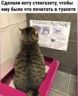 Прикрепленное изображение: 1653738252.jpg