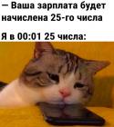 Прикрепленное изображение: Зарплата 25 числа.jpg